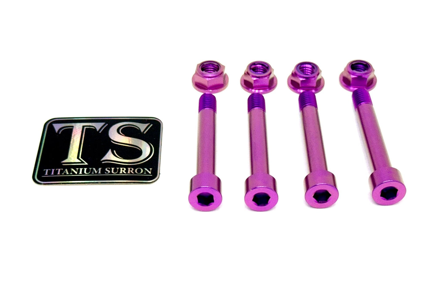Titanium Rear Suspension/ Linkage Bolt Kit for E-Ride Pro - Riot Racing