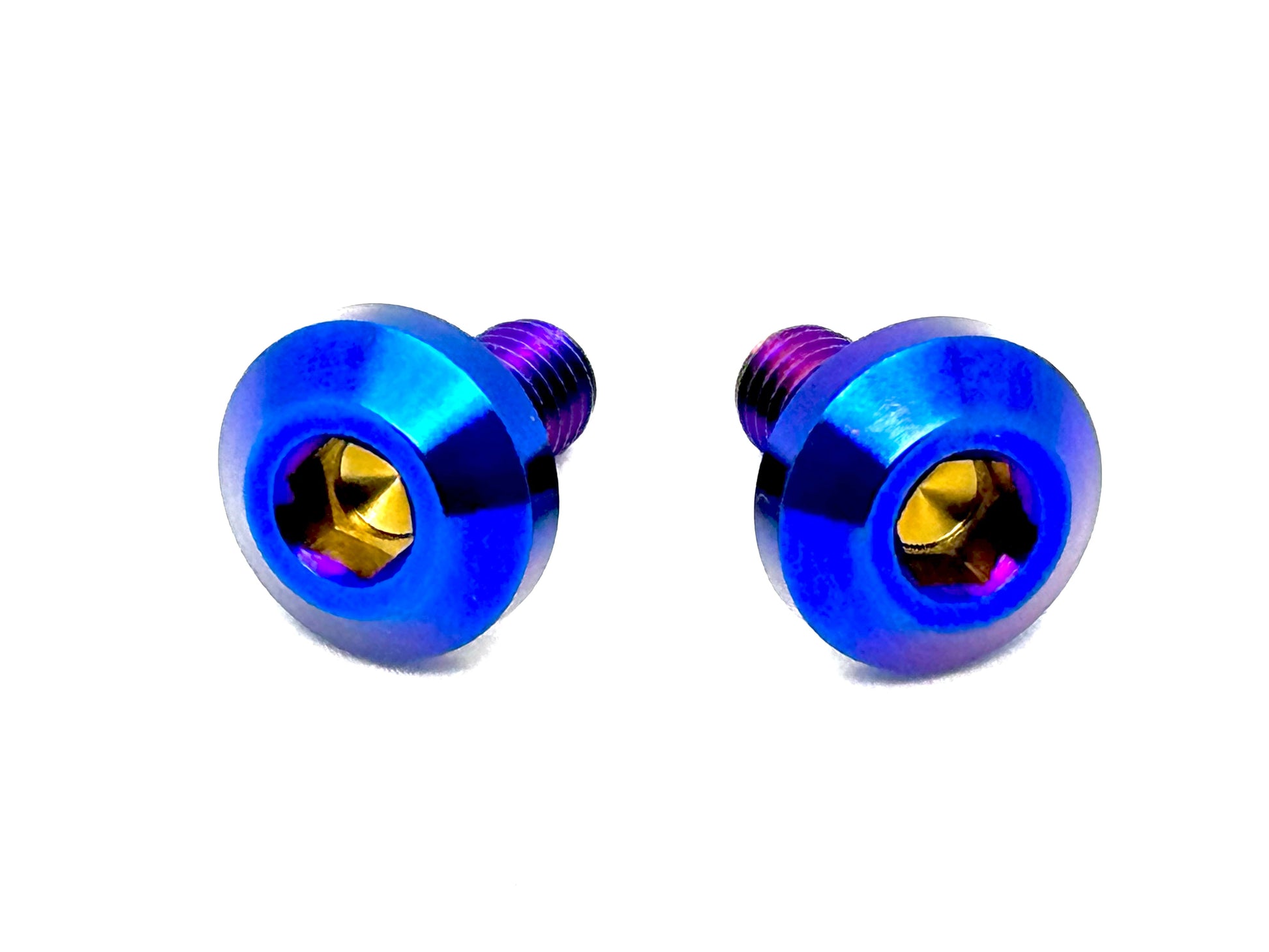 Titanium Chain Guard Bolts (Set of Two) Surron, Segway, Rerode - Riot Racing