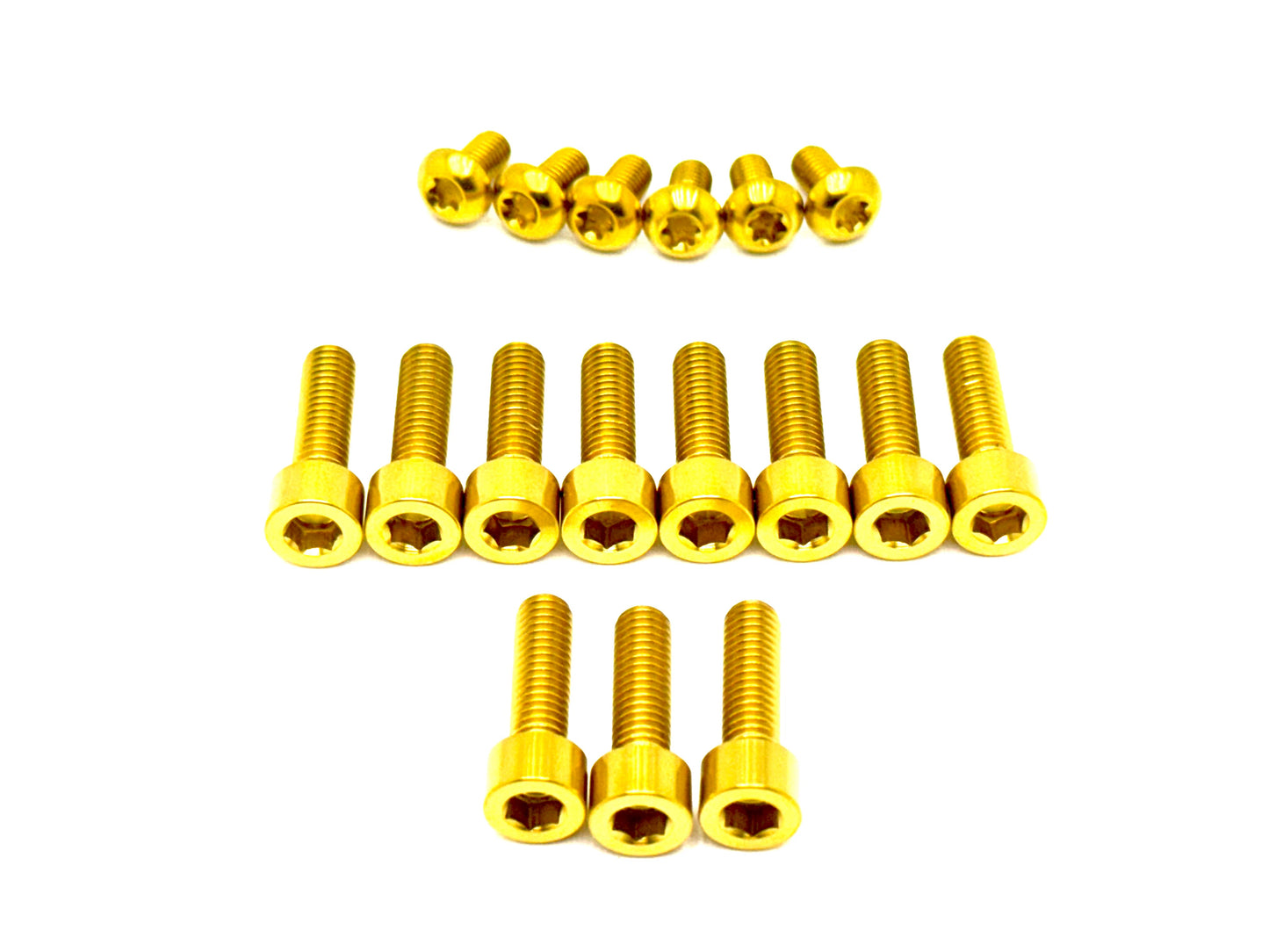 Titanium DNM/ KKE Fork Bolt Kits - Riot Racing