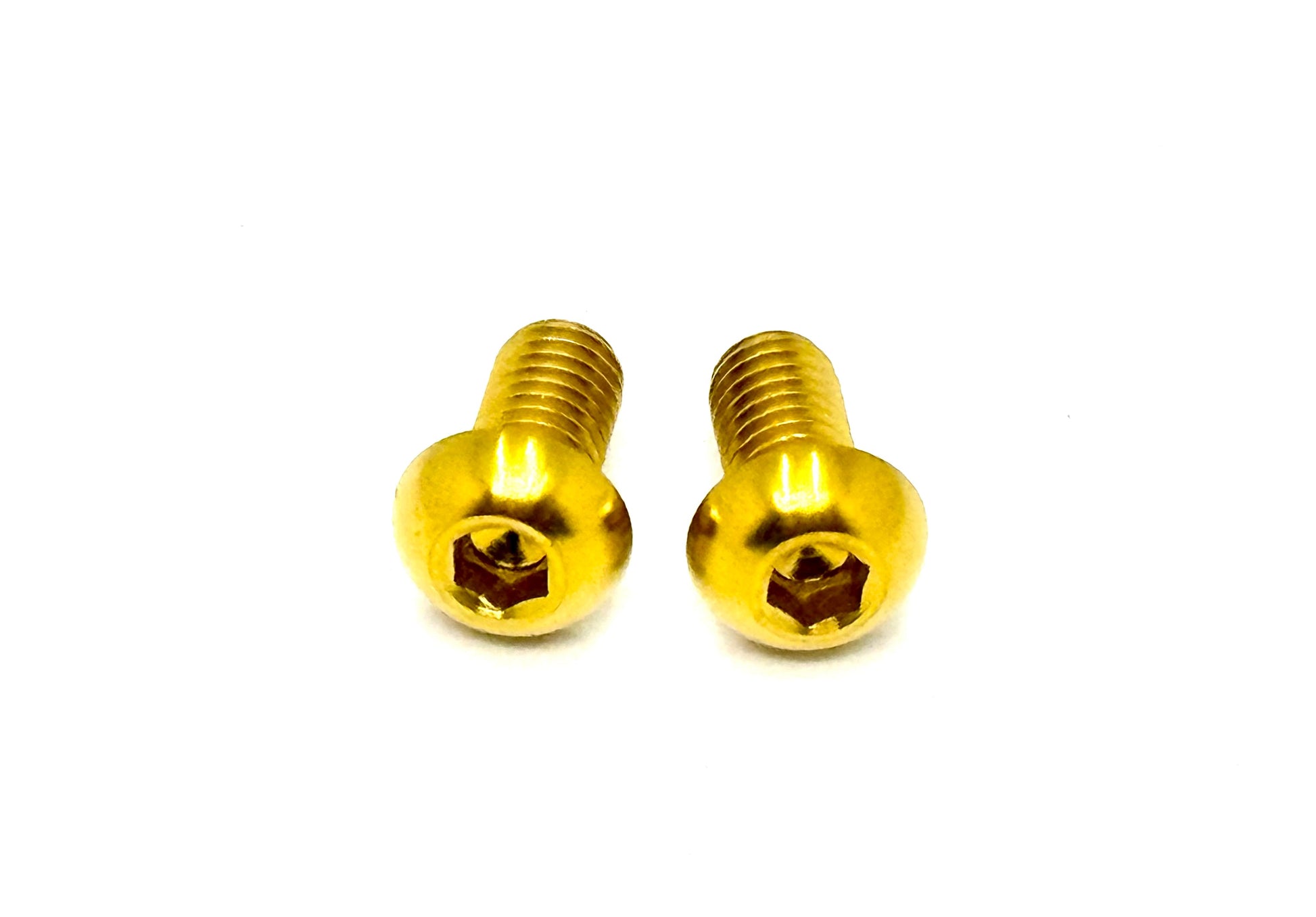 Titanium Ignition Cover Bolts (Set of Two) Surron, Segway, Similar E-moto - Riot Racing