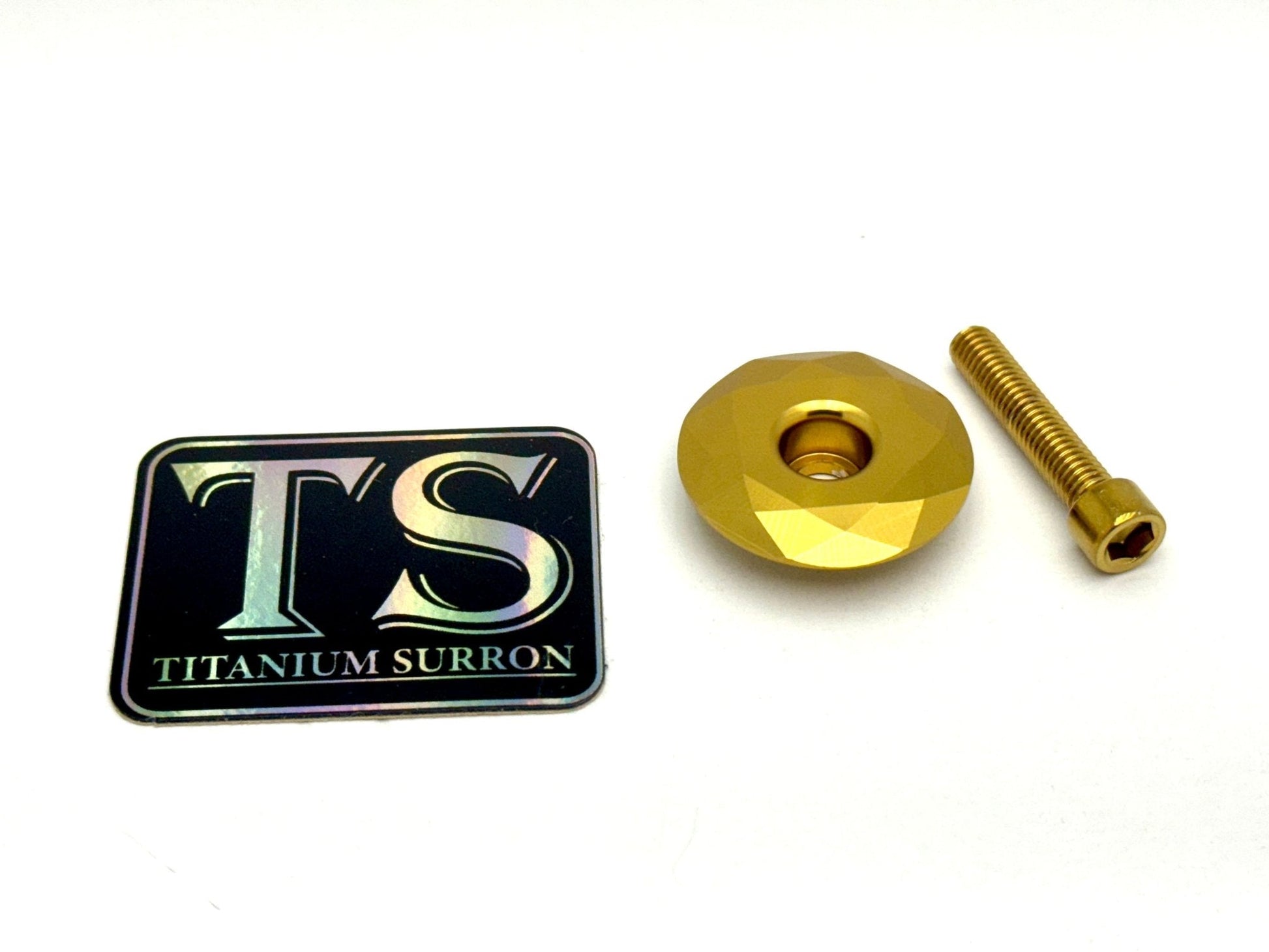 E-moto Fork Stem Caps Surron, Talaria, E-Ride Pro E-moto - Riot Racing