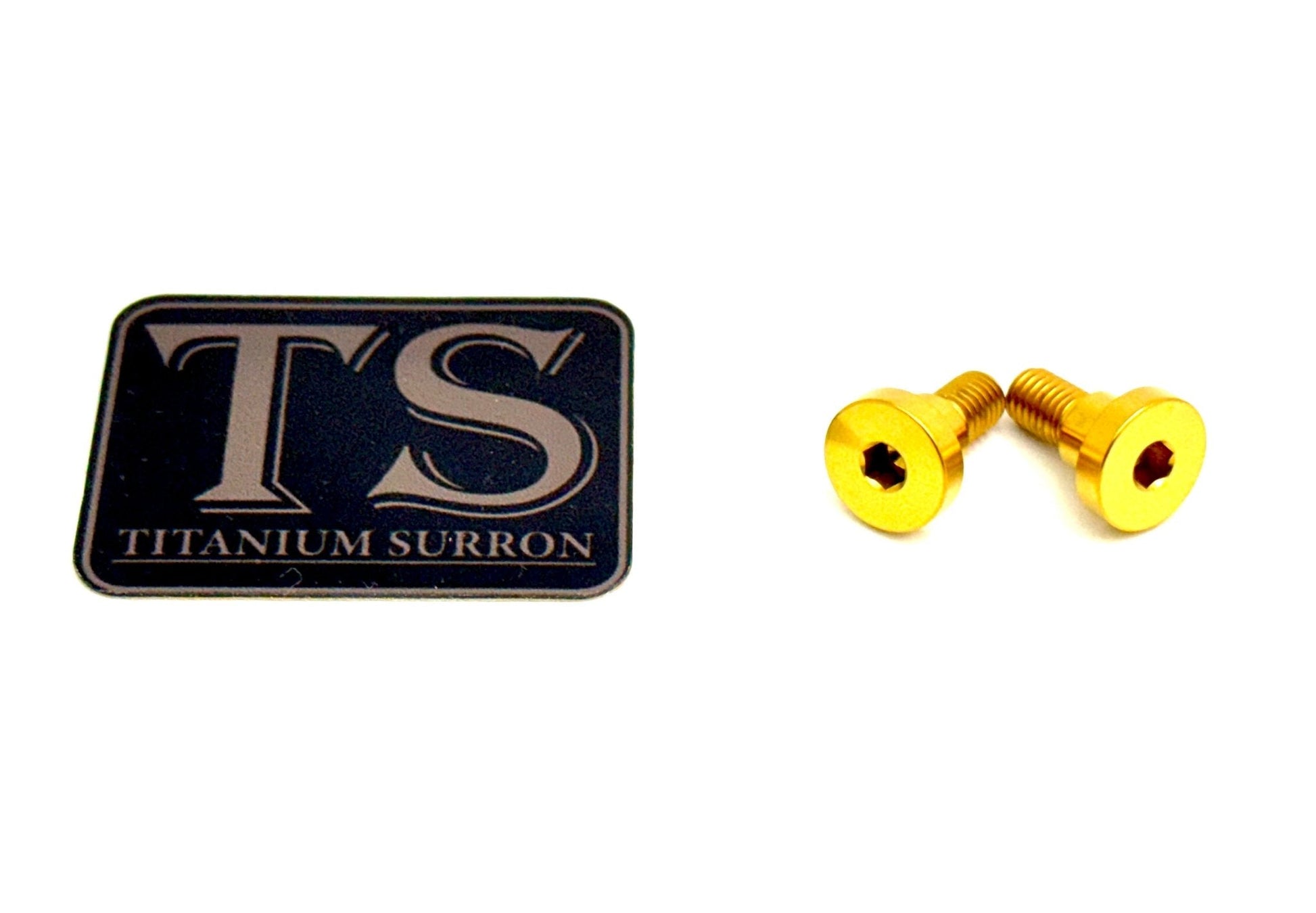 Titanium Battery Lid Bolts - E-Ride Pro -  (Two Pcs) - Riot Racing