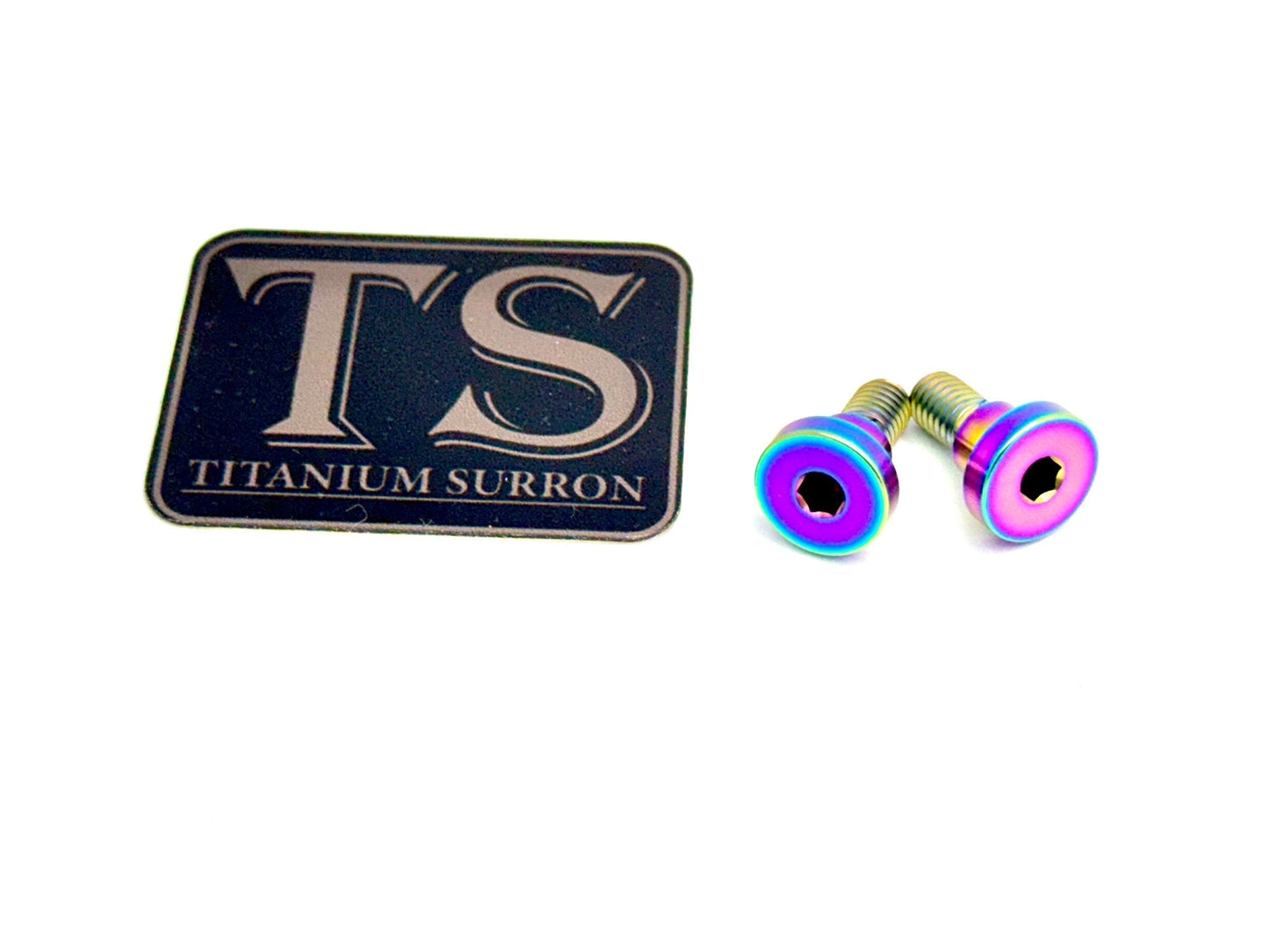 Titanium Battery Lid Bolts - E-Ride Pro -  (Two Pcs) - Riot Racing