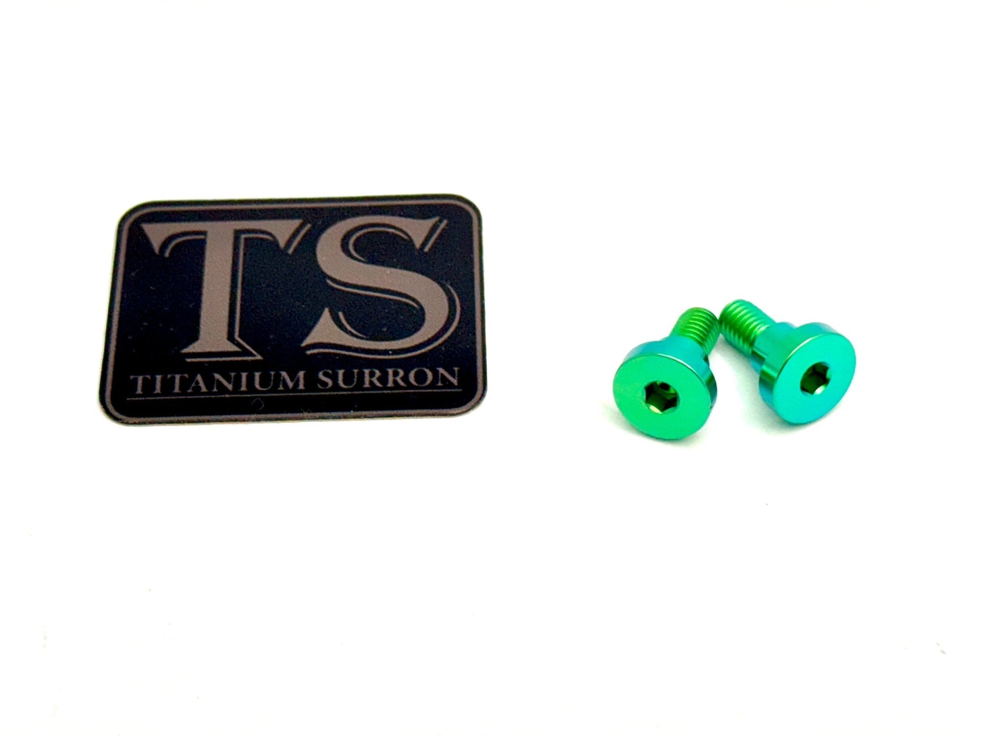 Titanium Battery Lid Bolts - E-Ride Pro -  (Two Pcs) - Riot Racing