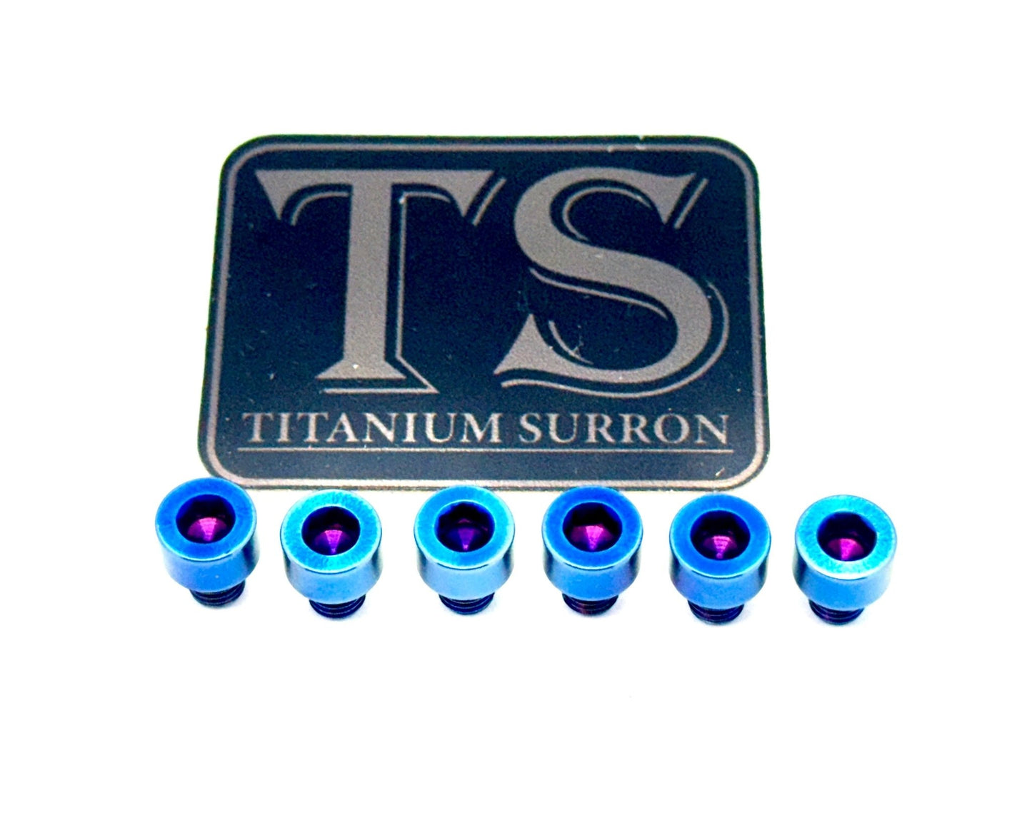 EBMX X9000 Heat Sink Titanium Bolt Kits (6) - Riot Racing