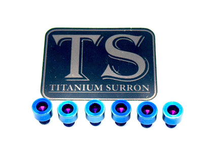 EBMX X9000 Heat Sink Titanium Bolt Kits (6) - Riot Racing