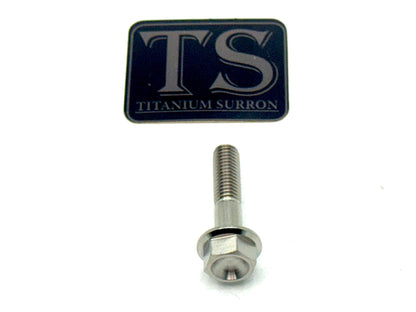 Altis Sigma Gearbox Cover Titanium Bolt Kit - Riot Racing