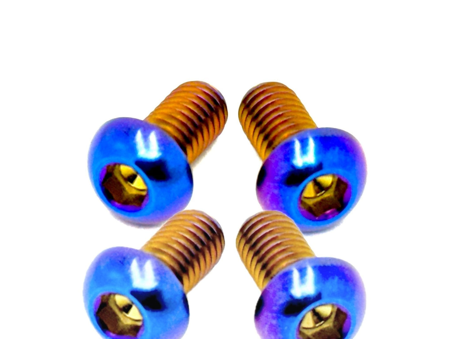 Titanium Controller Mount Bolts for E-moto - Riot Racing