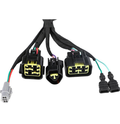 Surron LBX OEM Electrical Wiring Harness - Riot Racing