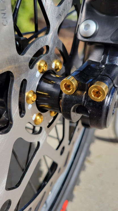 Titanium Altis Sigma Front Fork Bolt Kit - Riot Racing