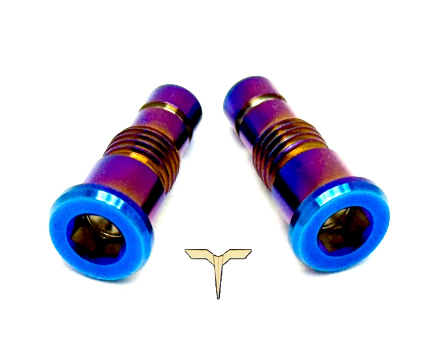 Titanium Battery Lid Bolts - Talaria Sting R MX4 (Two Pcs) - Riot Racing
