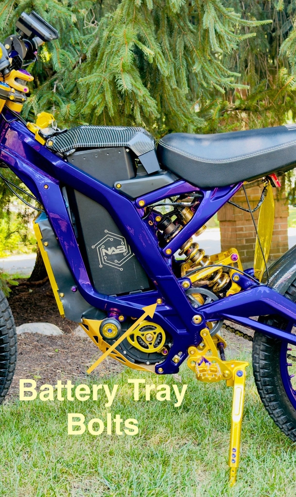 Titanium Battery Tray Bolts (Set of Two) Surron, Segway, E-Ride Pro - Riot Racing