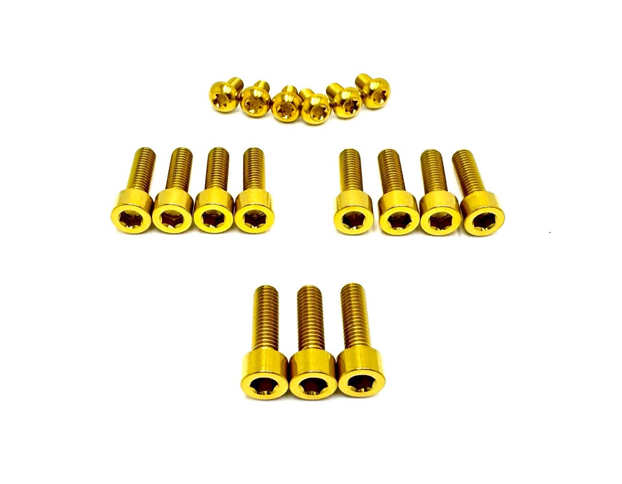 Titanium EXT Ferro Fork 11/17 Piece Bolt Kits - Riot Racing