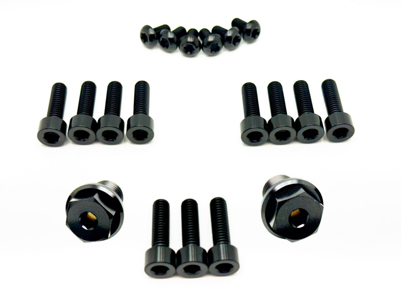 Titanium FastAce Fork Bolt Kits ALX13RC (2.0), AHX12RV (Gravitee), ALX32RC - Riot Racing