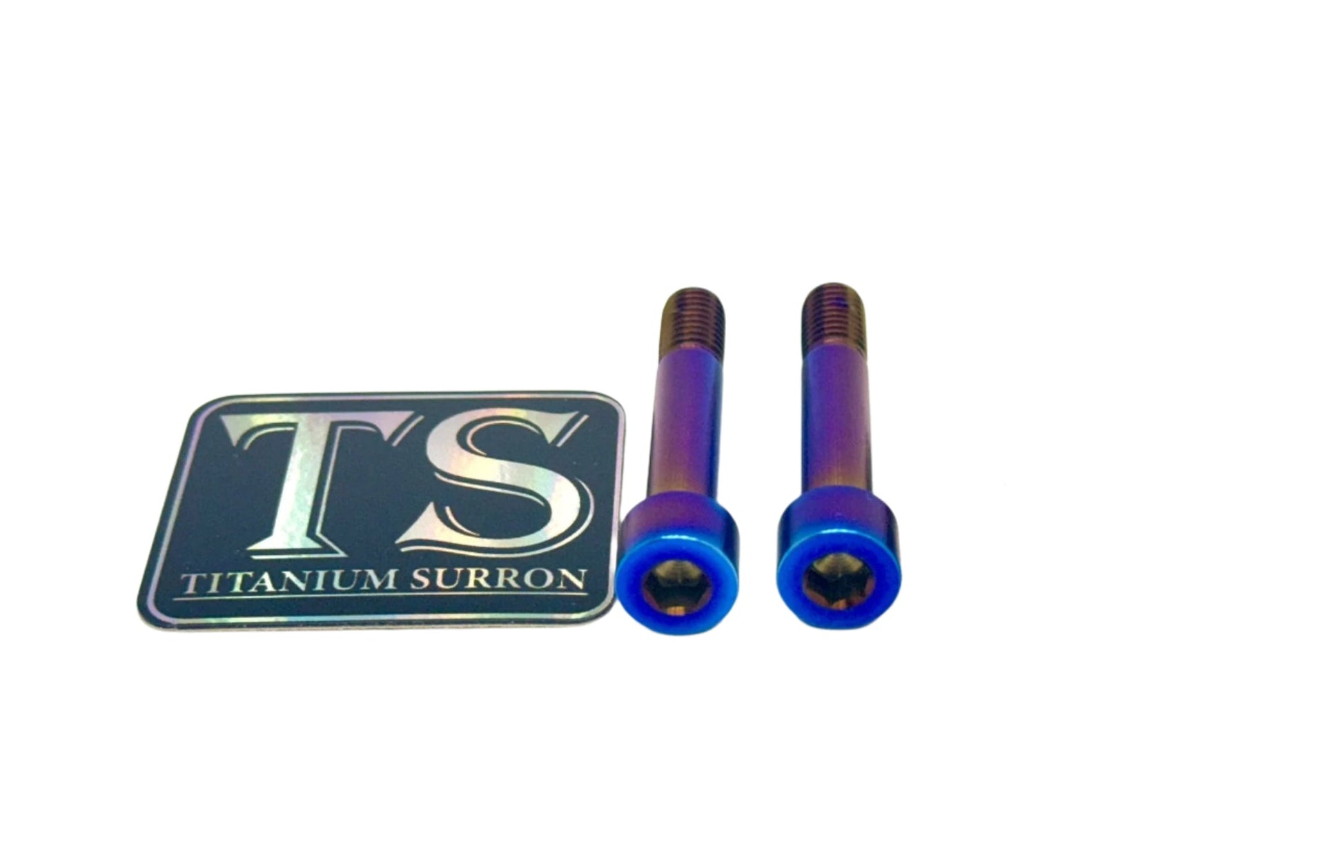 Titanium Motor Bolts - Rerode R1 - Riot Racing