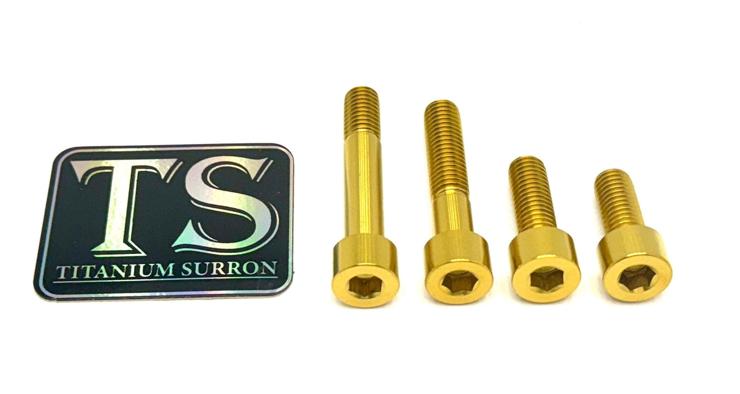 Titanium Motor Bolts - E-Ride Pro (all models) - Riot Racing
