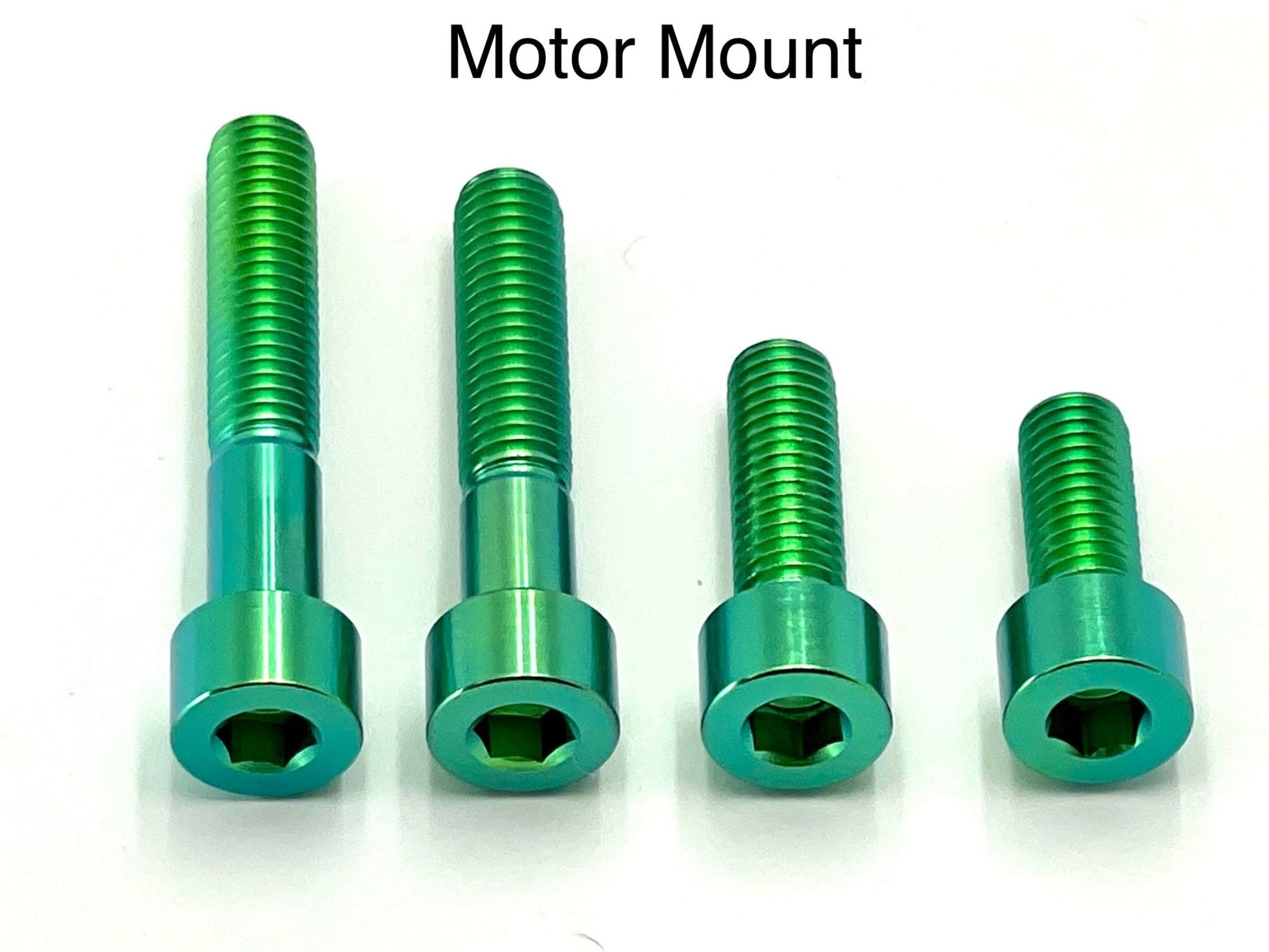 Titanium Motor Bolts - E-Ride Pro (all models) - Riot Racing