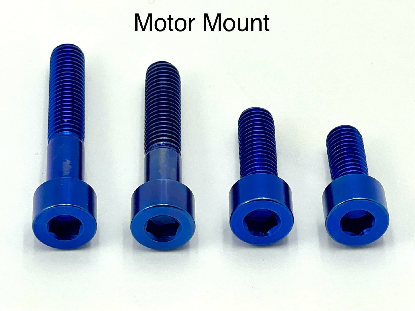 Titanium Motor Bolts - E-Ride Pro (all models) - Riot Racing