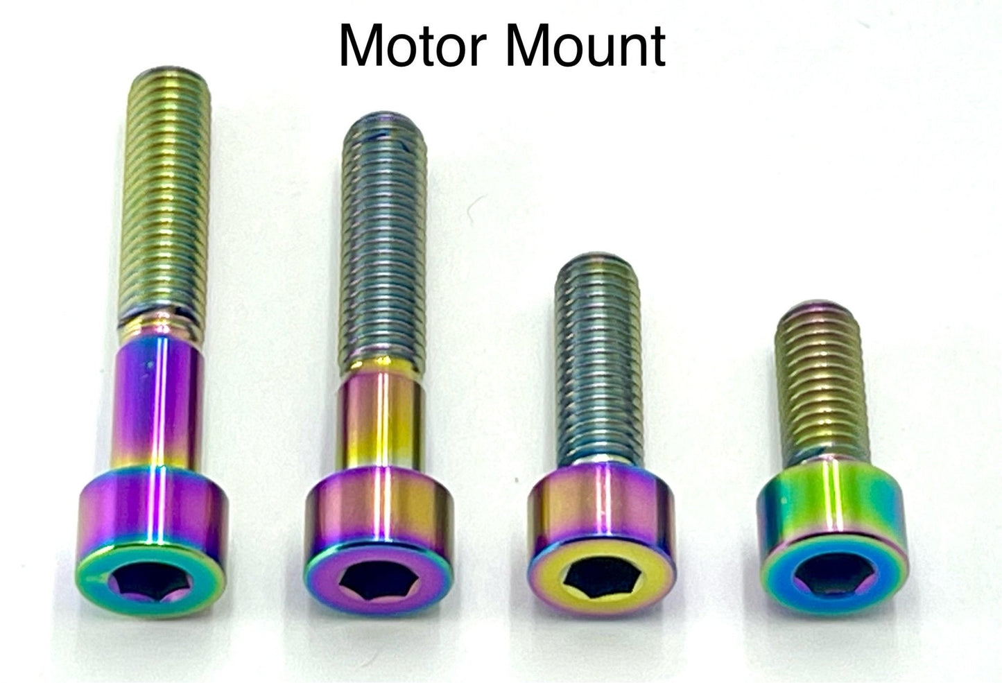 Titanium Motor Bolts - Surron LBX - Riot Racing