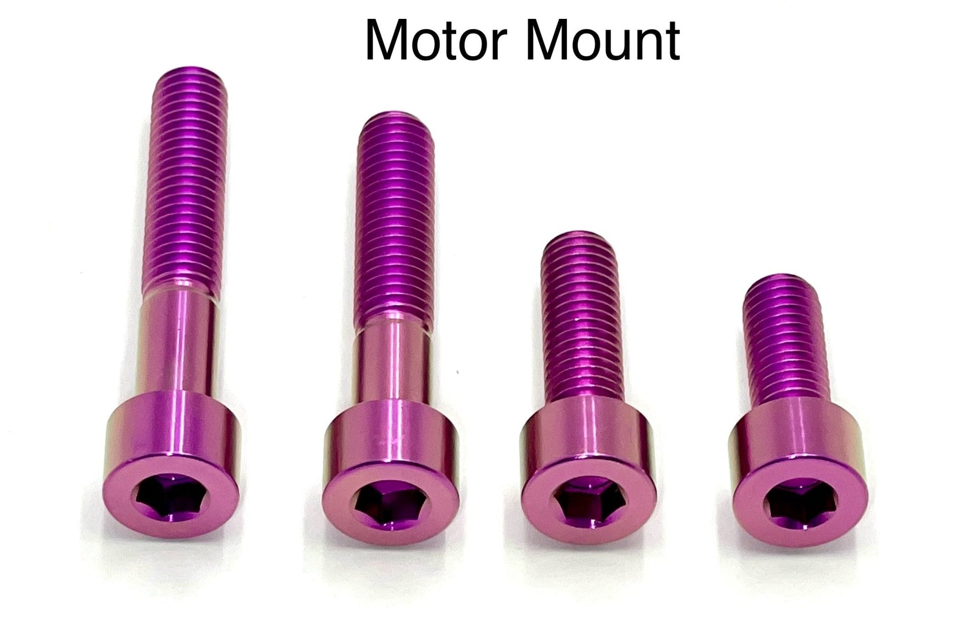 Titanium Motor Bolts - Talaria XXX - Riot Racing