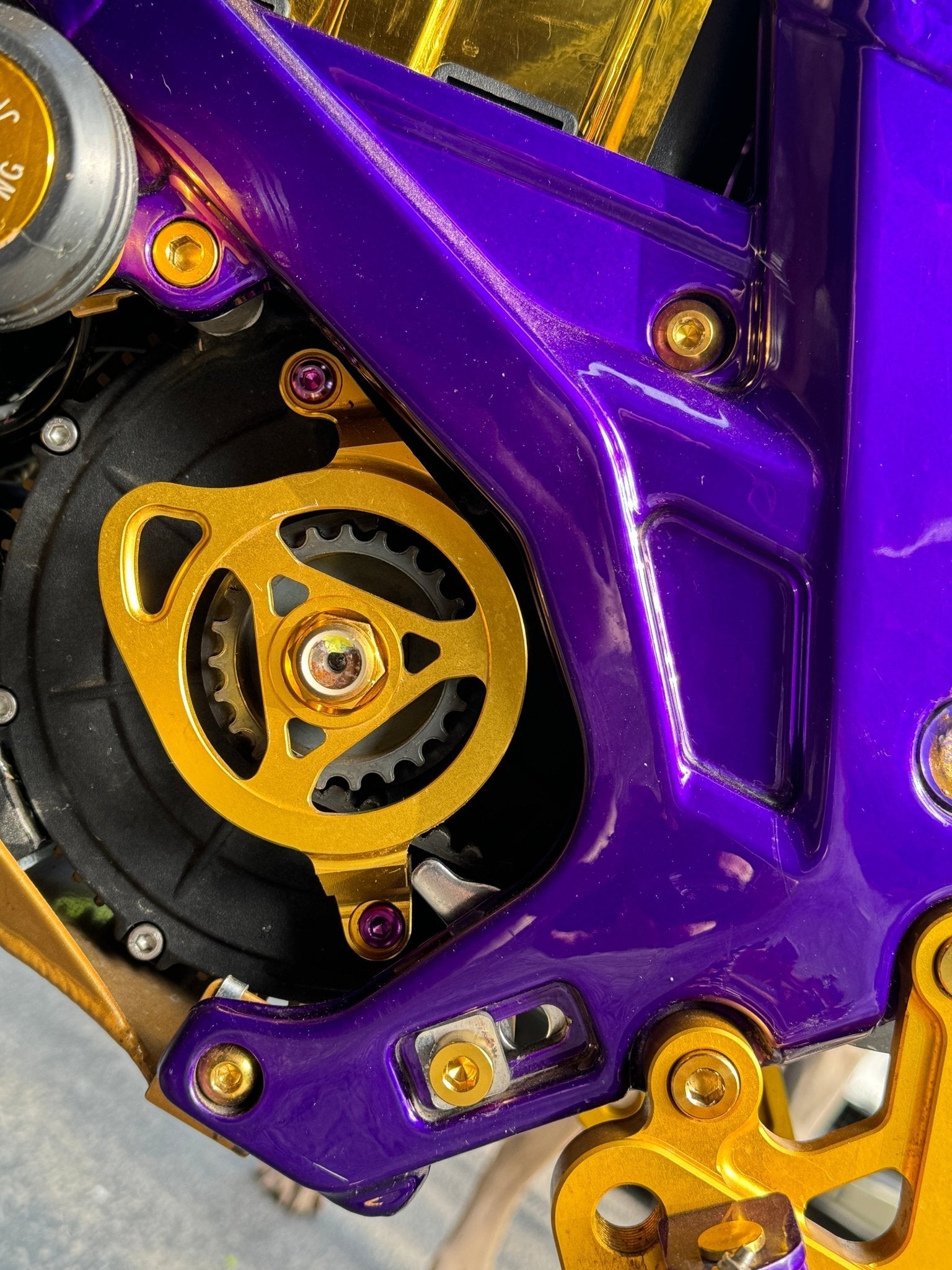 Titanium Motor Cover Bolts (Set of Two) Surron, Segway, 79 Bike, ERP - Riot Racing