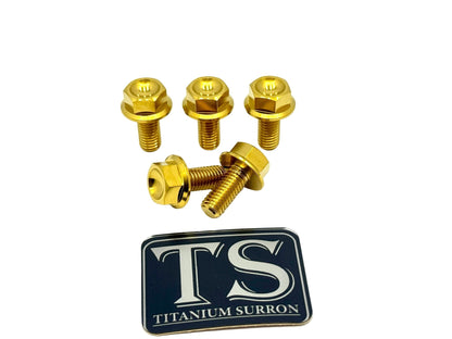Titanium Rear Sprocket Bolts - E-Moto - Riot Racing