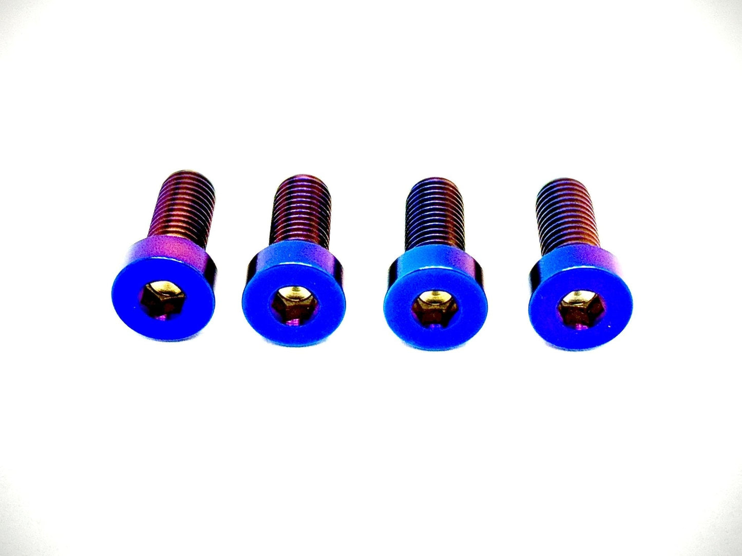 Titanium Seat/ Subframe Bolts - Surron LBX, Segway X260 (Set of 4) - Riot Racing
