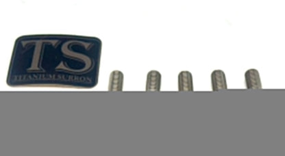 Titanium Rear Sprocket Bolts - E-Moto - Riot Racing