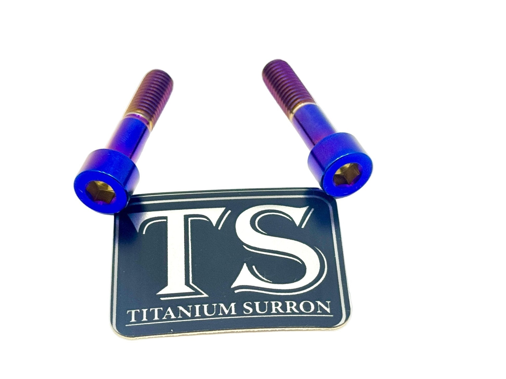 Titanium Triangle Bolts - Surron LBX/ Segway - Riot Racing