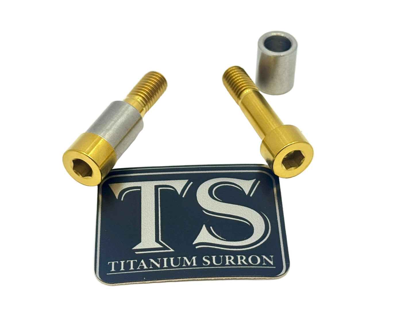 Titanium Triangle Bolts - Surron LBX/ Segway - Riot Racing