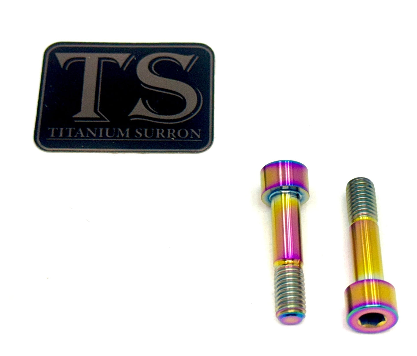 Titanium Triangle Bolts - Surron LBX/ Segway - Riot Racing