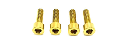 Ultra Bee Fork Titanium Axle Pinch Bolts - Riot Racing