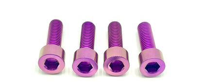Ultra Bee Fork Titanium Axle Pinch Bolts - Riot Racing
