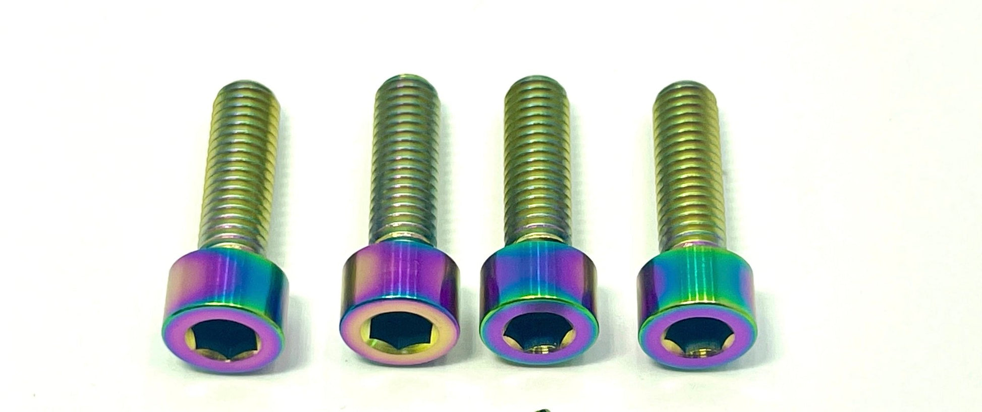 Ultra Bee Fork Titanium Axle Pinch Bolts - Riot Racing